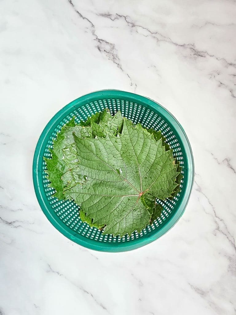 vine leaves in colander