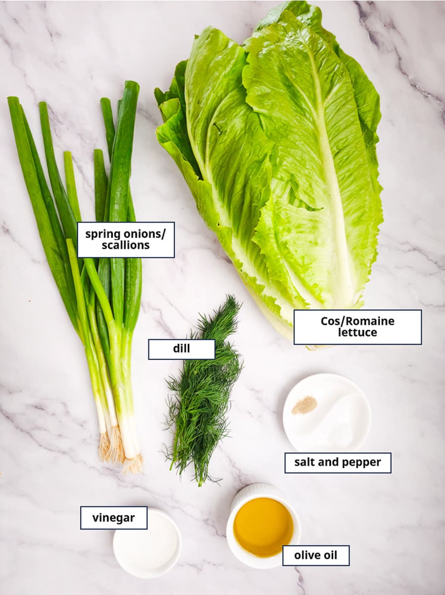 Greek lettuce salad - maroulosalata - ingredients