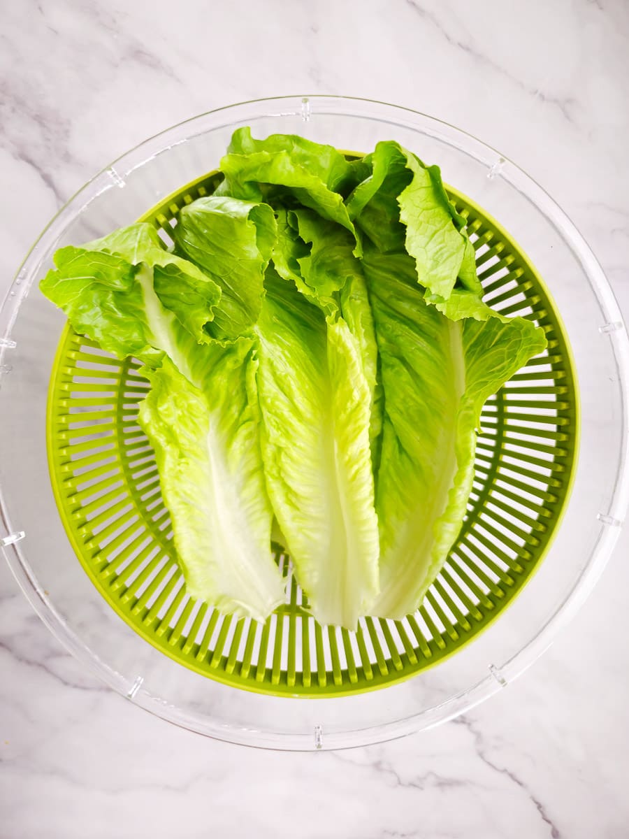 Cos / romaine lettuce in a salad spinner