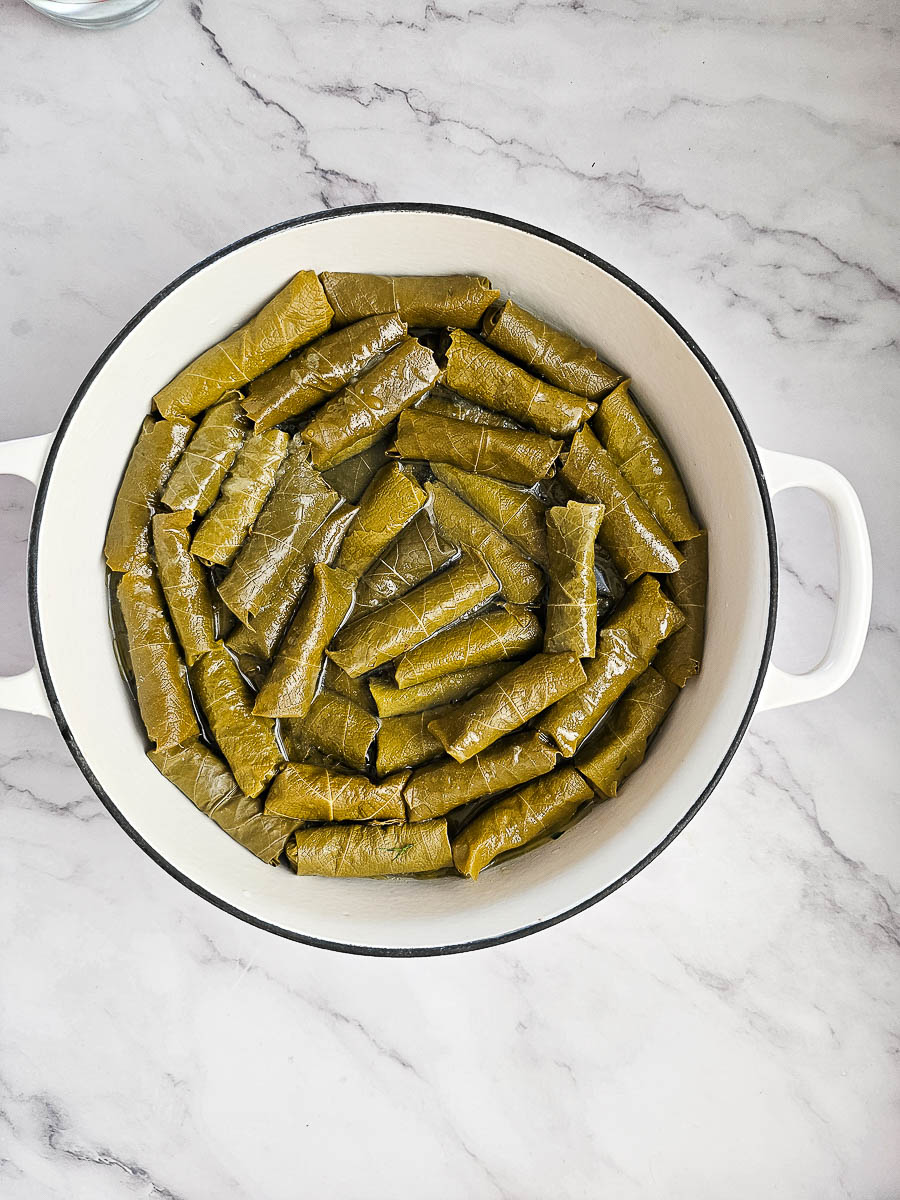 Stuffed vine leaves (Dolmades Yialantzi) in a pot