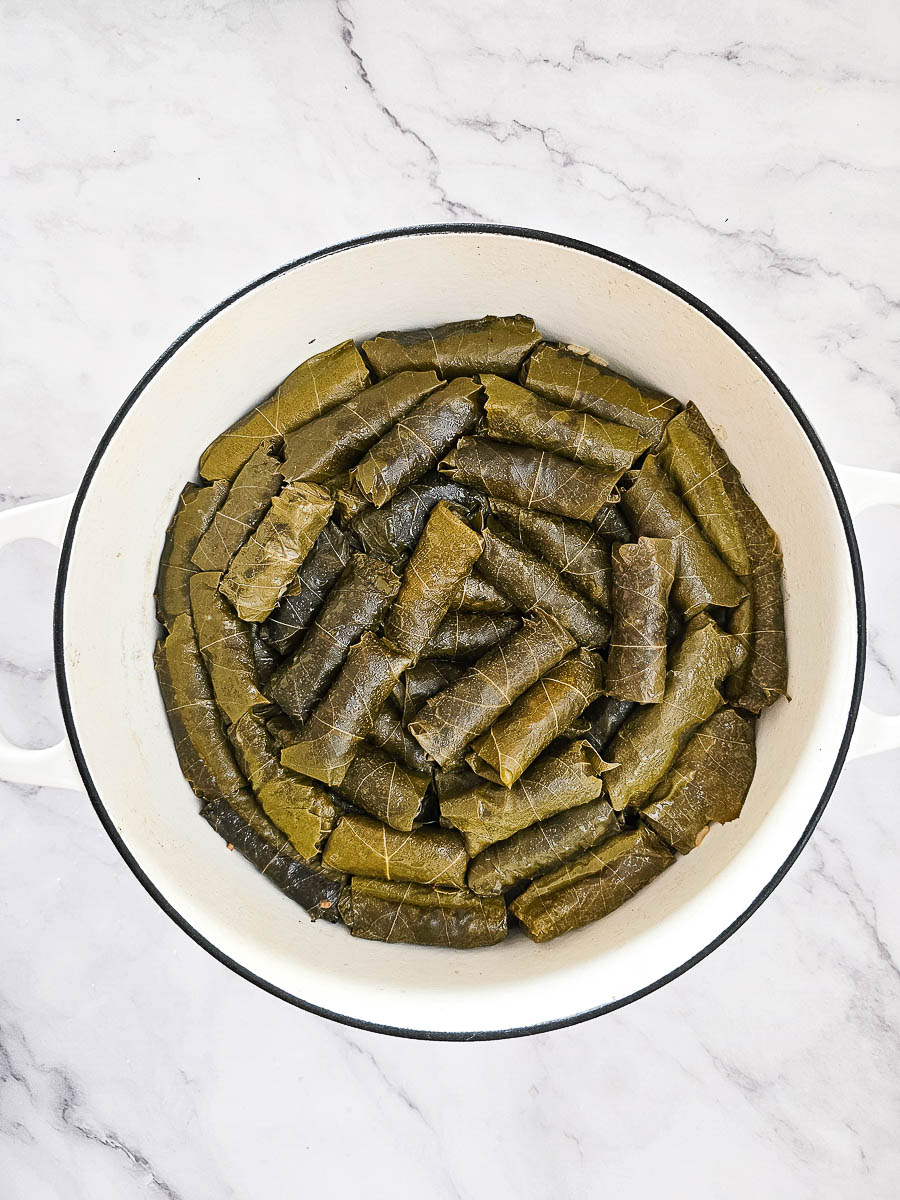 Stuffed vine leaves (Dolmades Yialantzi) in a pot