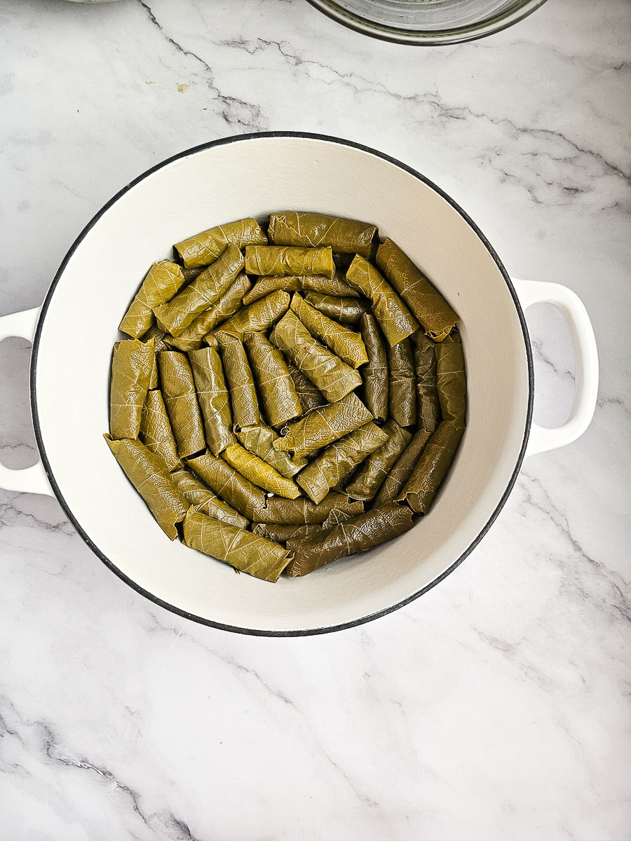 Stuffed vine leaves (Dolmades Yialantzi) in a pot