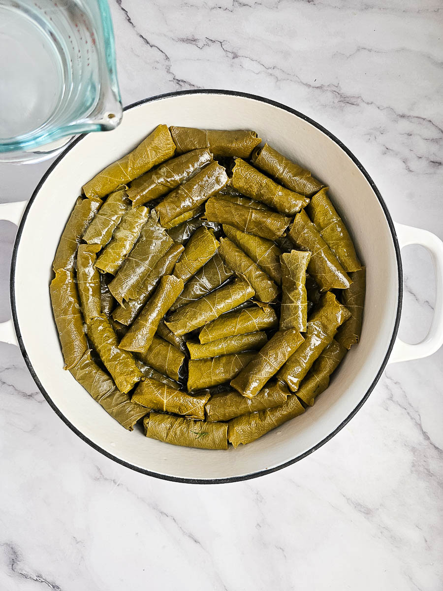 Stuffed vine leaves (Dolmades Yialantzi) addingwater to pot