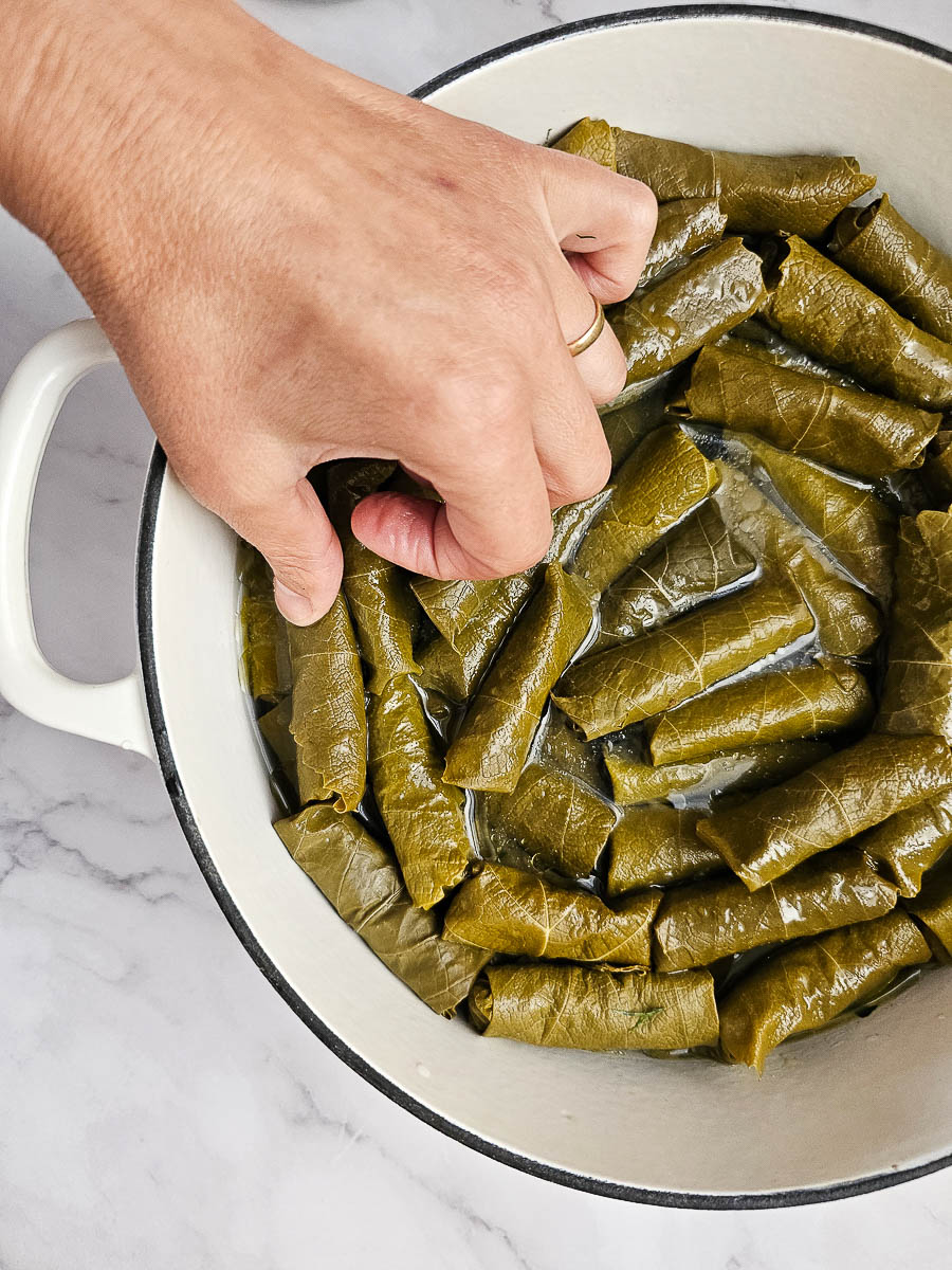 Stuffed vine leaves (Dolmades Yialantzi) in a pot