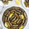 Stuffed vine leaves (Dolmades Yialantzi) on a plate