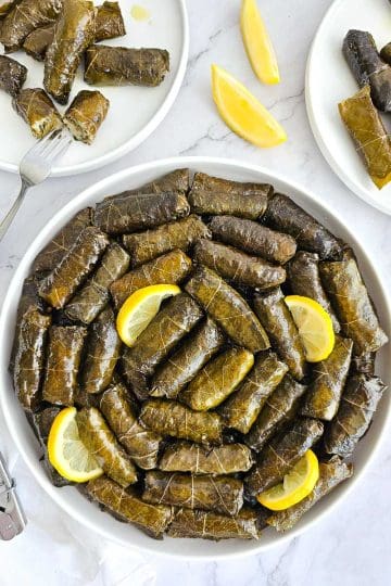 Stuffed vine leaves (Dolmades Yialantzi) on a plate