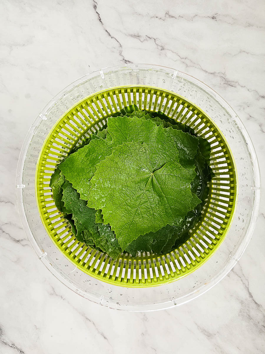 rinsing vine leaves in a colander