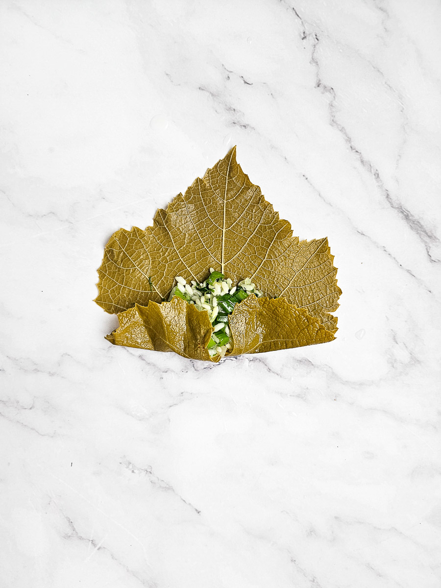 rolling vine leaves