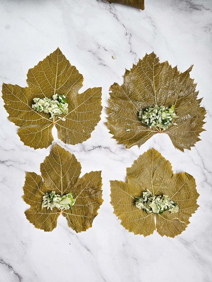 rolling vine leaves